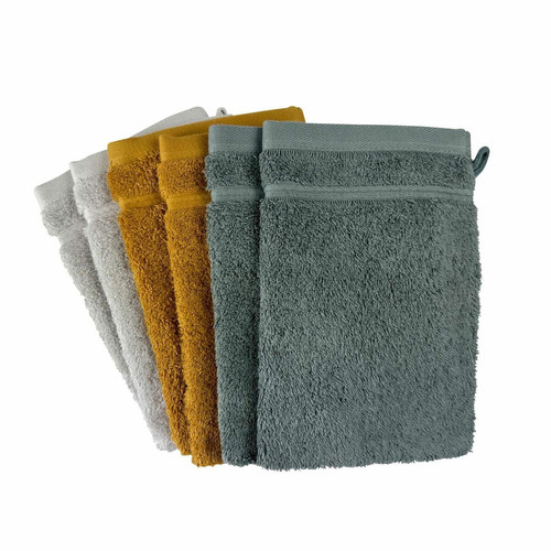 Lot de 6 gants de toilette coton d'Egypte vert de gris